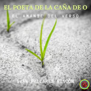 EL AMANTE DEL VERSO